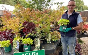 Wistaston garden centre reopens after raising thousands for charities