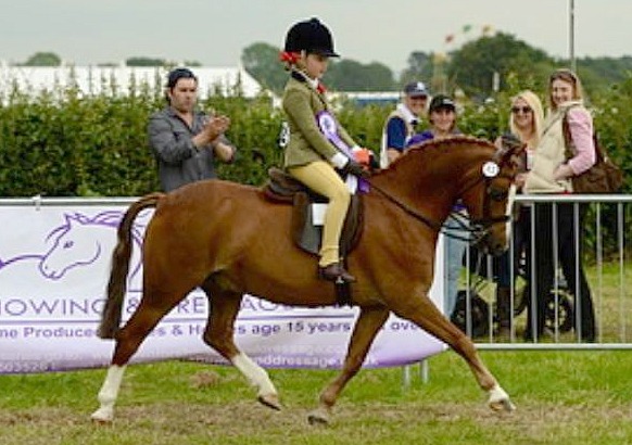 Annie Goodwin, from Woore, in action on pony Bumpy