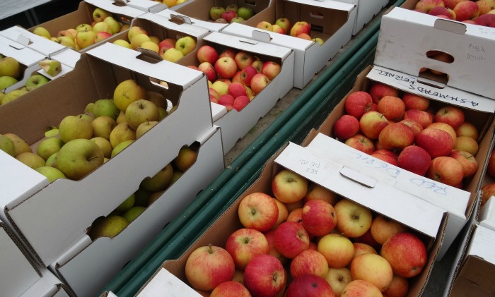Apples grown at Reaseheath College sale