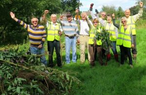 Balsam teams clear invading plants from Nantwich riverbanks