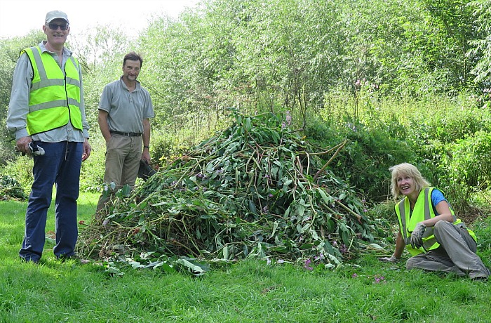 Balsam volunteers