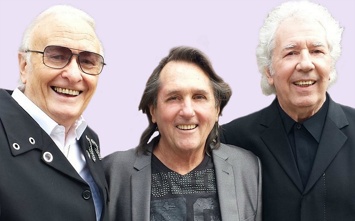 Brian Poole & The Tremeloes Official image