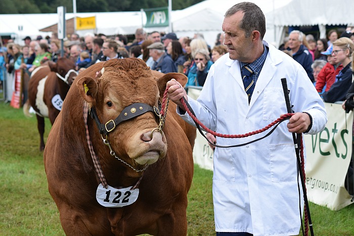 Cattle show at Nantwich Show