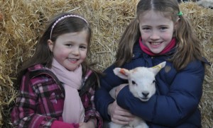 Hundreds of families enjoy first Reaseheath lambing weekend of 2016