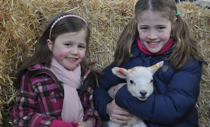 Charlotte, 5, and Katie, 8, Duckett from Audlem at lambing weekend 2016