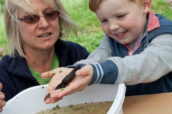 Cheshire Wildlife Trust open farm day