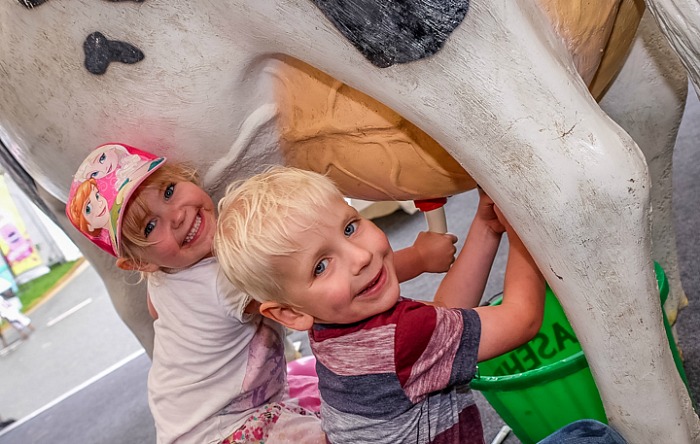 Children learn to milk at cow at Nantwich Food Festival - FunZone