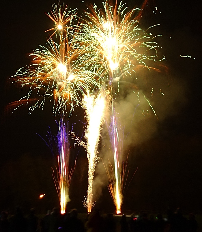 Chinese New Year spectacular in Nantwich 2020 (3) (1)