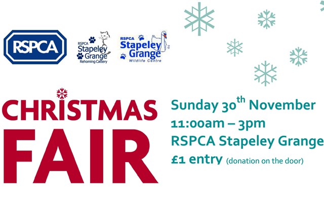 RSPCA Christmas-fair-poster-Stapeley