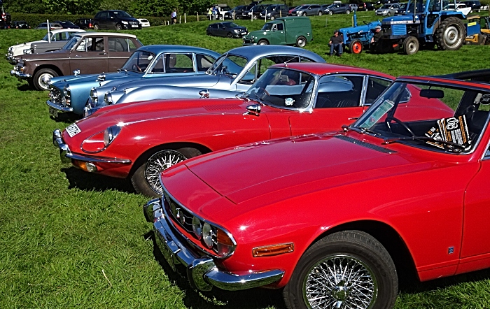 Classic cars on display (1)