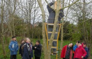 Nantwich cubs in conservation work at Coed Wen community woodland
