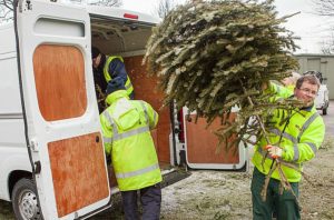 Scouts run fund-raising Christmas tree and recycling scheme