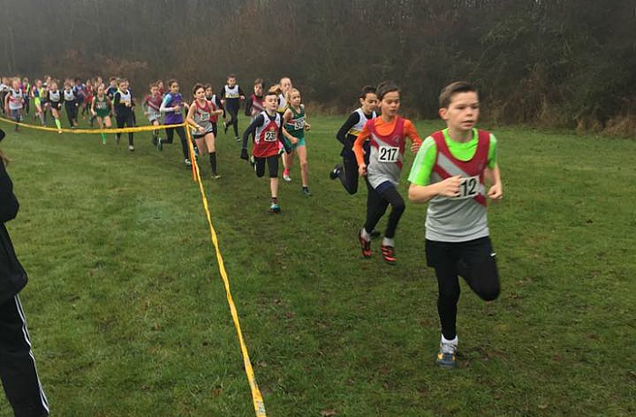 Crewe & Nantwich AC athletes in Cheshire cross country championships 3