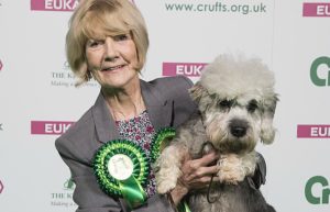 Nantwich woman celebrates Crufts accolade for Terrier Harrison