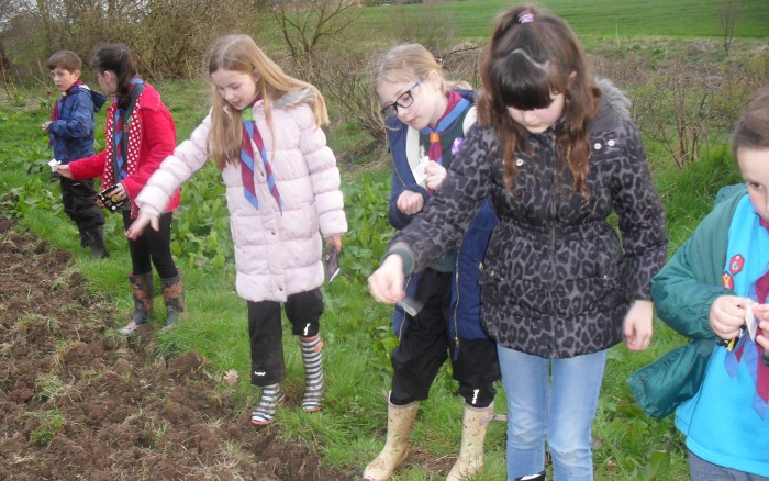 Cubs plant seeds at Coed Wen