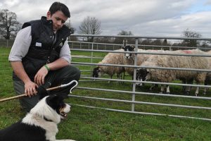 Hundreds expect to flock to Reaseheath College lambing weekend in Nantwich