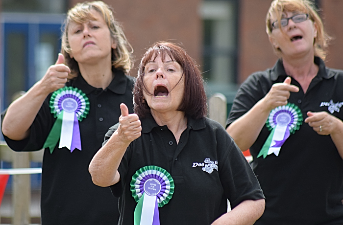 Dee-Sign British Sign Language choir