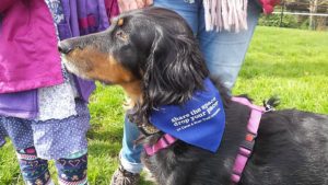 Dog owners invited to mass dog walk along Shropshire Union Canal