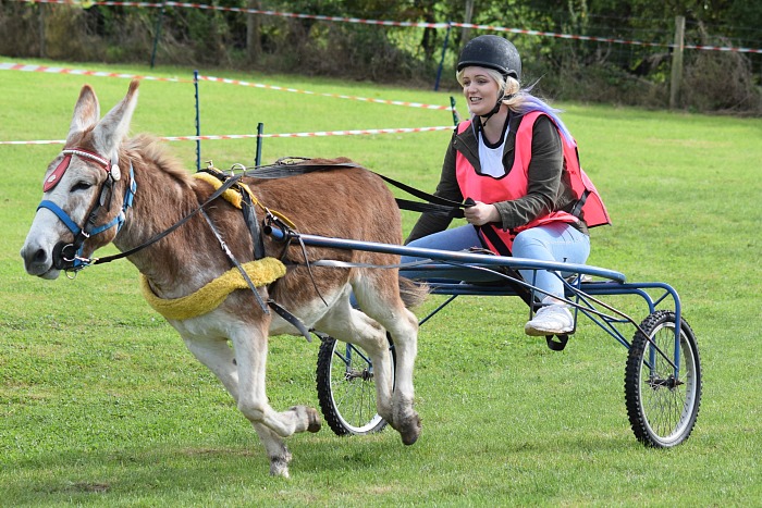 RNLI - Donkey Derby chariot race - Rebecca Sparkes races for the line