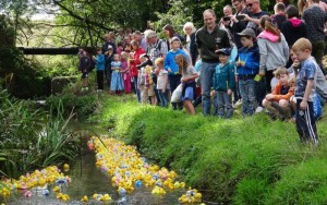 Annual duck race proves a big splash for Wistaston families