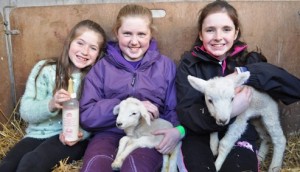 Hundreds flock to Reaseheath lambing weekend in Nantwich