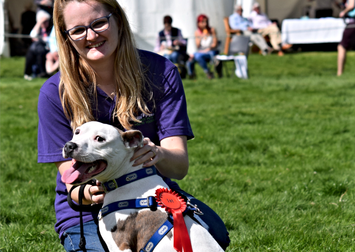 Fun Dog Show - best in show winner Staffordshire Bull Terrier Rocko with owner Annabel