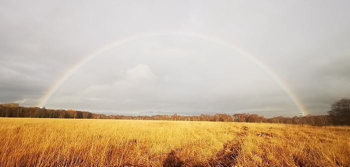 Holcroft Moss - Cheshire. Credit Cheshire Wildlife Trust (1)