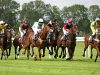 How strategy changes during horse races