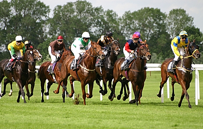 Horse racing - equine flu - for display only