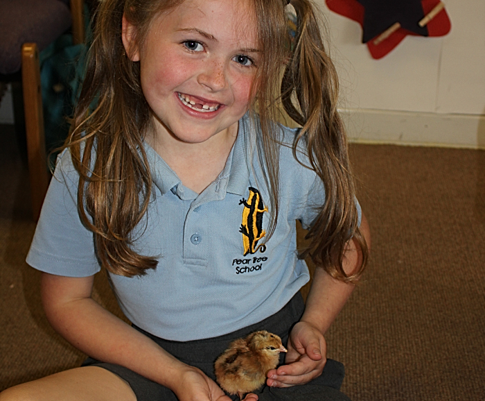 Infant with chicks