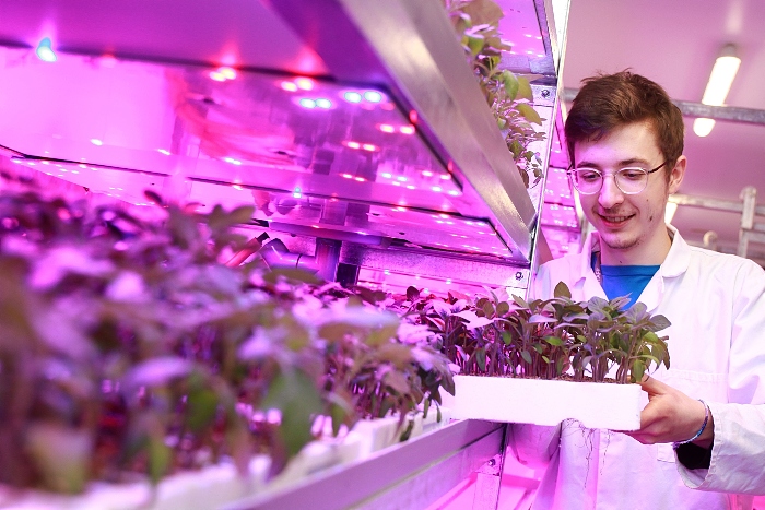 Jake - vertical farming at reaseheath college