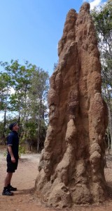 Jonathan White looking at a termite mound in Northern Territory Australia