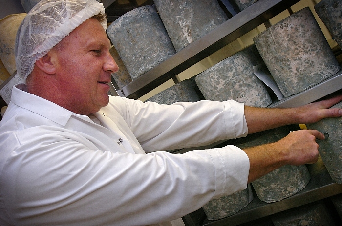 Joseph Heler cheese jobs