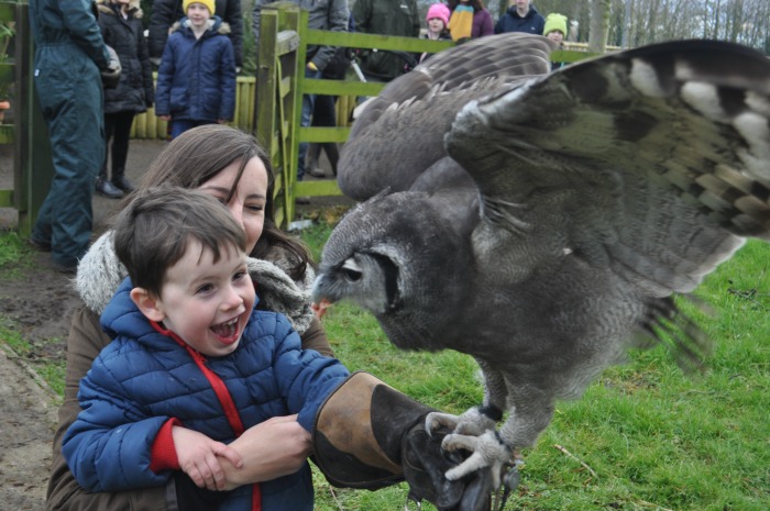 Lambing and zoo weekend - Leo Smith, 3, and mum Charlie Smith from Chester with 'Milky'