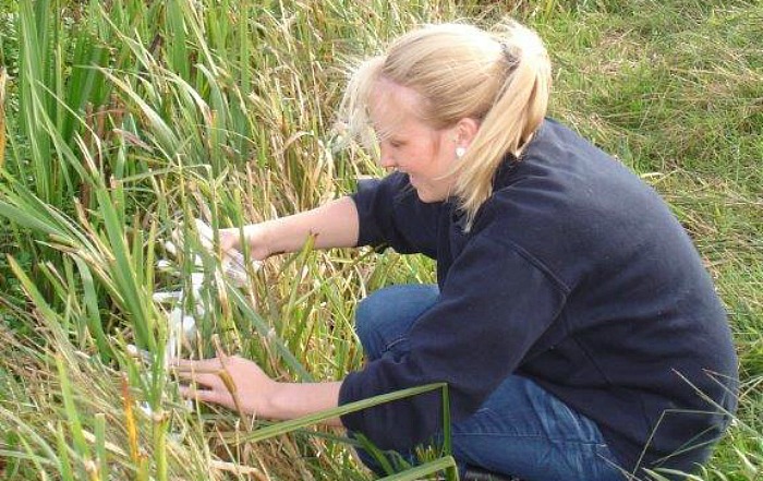 Lauren Lane releases spiderlings at Reaseheath zoo