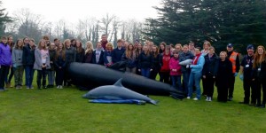 Whale rescued at Reaseheath College in Nantwich!