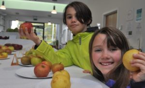 Hundreds of families enjoy Reaseheath Apple Festival in Nantwich