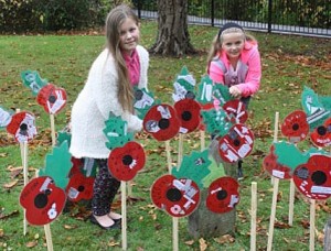 Brine Leas pupils in Nantwich create own poppy field