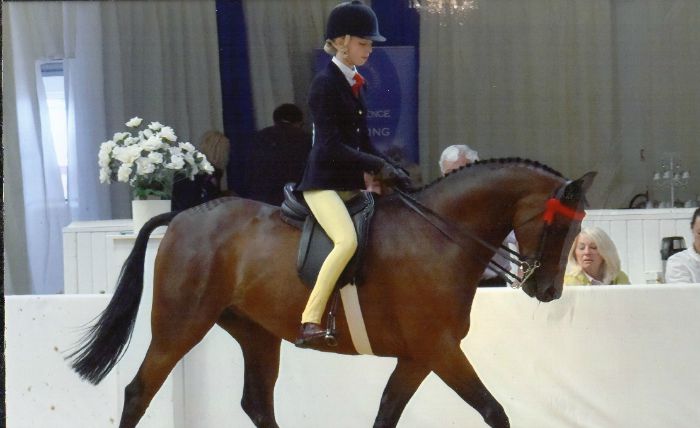 Mia Brown, Brine Leas student, Horse of the Year Show