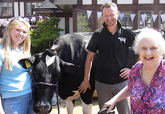 Midnight cow and owners and resident at Richmond Village