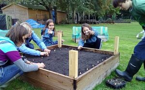 Millfields Primary School children go green fingered to create garden