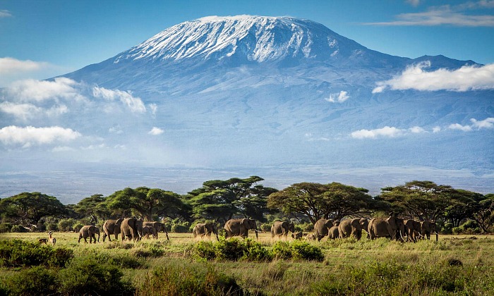 mount kilimanjaro