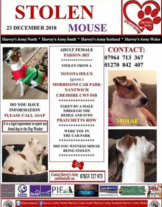 Mouse stolen dog appeal poster
