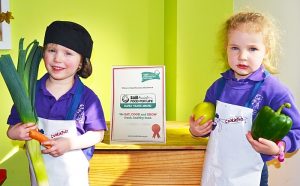 Nantwich Elmscot Day Nursery gains Food for Life Award