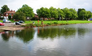 New signs and sculpture to be unveiled at Nantwich Lake