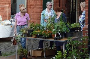 Nantwich Museum to stage Plant and Book Sale on June 9