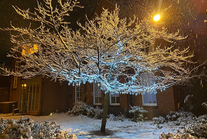 Nantwich - Nantwich Tree of Light (1)