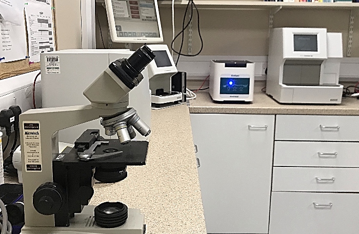 Nantwich Pet Vets - lab