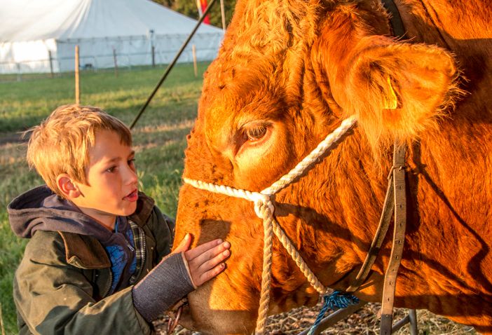 Nantwich Show 2015