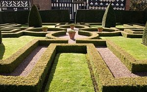Nantwich Walled Garden Society seminar set for museum in November